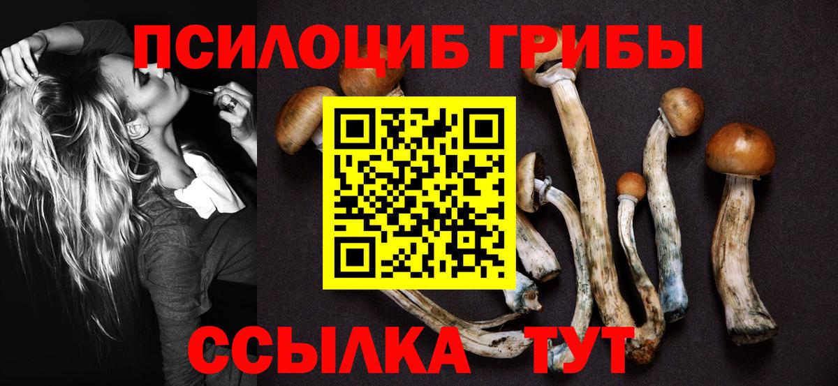 Псилоцибиновые грибы Psilocybine cubensis  Вход с VPN  Анапа 